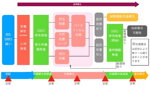 小腸内細菌異常増殖症（SIBO）の治療の流れ